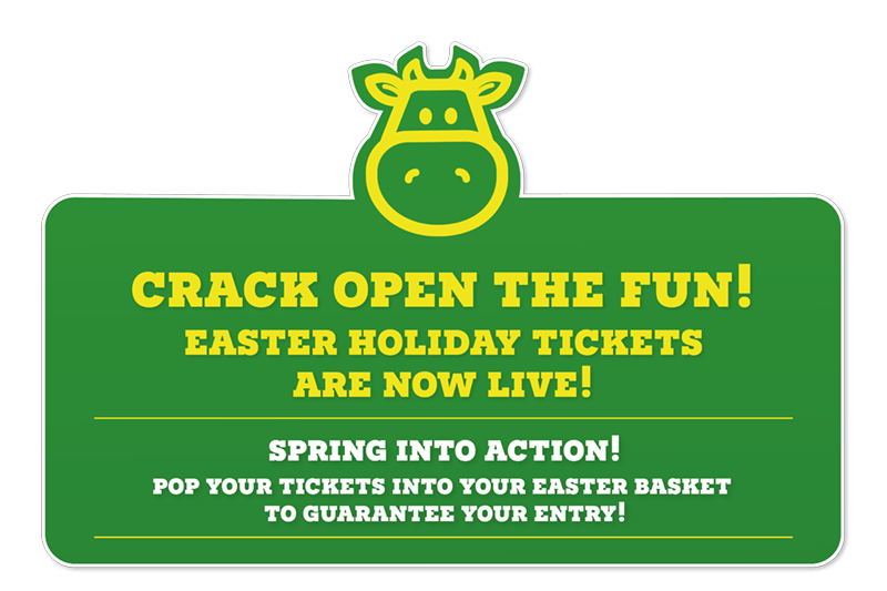 Children's' Indoor and Outdoor Play | Chobham Adventure Farm