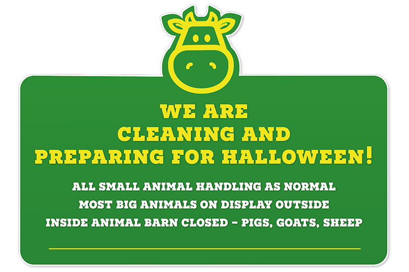 Children's' Indoor and Outdoor Play | Chobham Adventure Farm